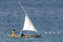 开云官网-浪迹天涯帆船选手纵横海域