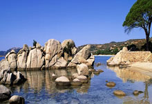 开云体育入口-美国队在游泳比赛中再次夺冠